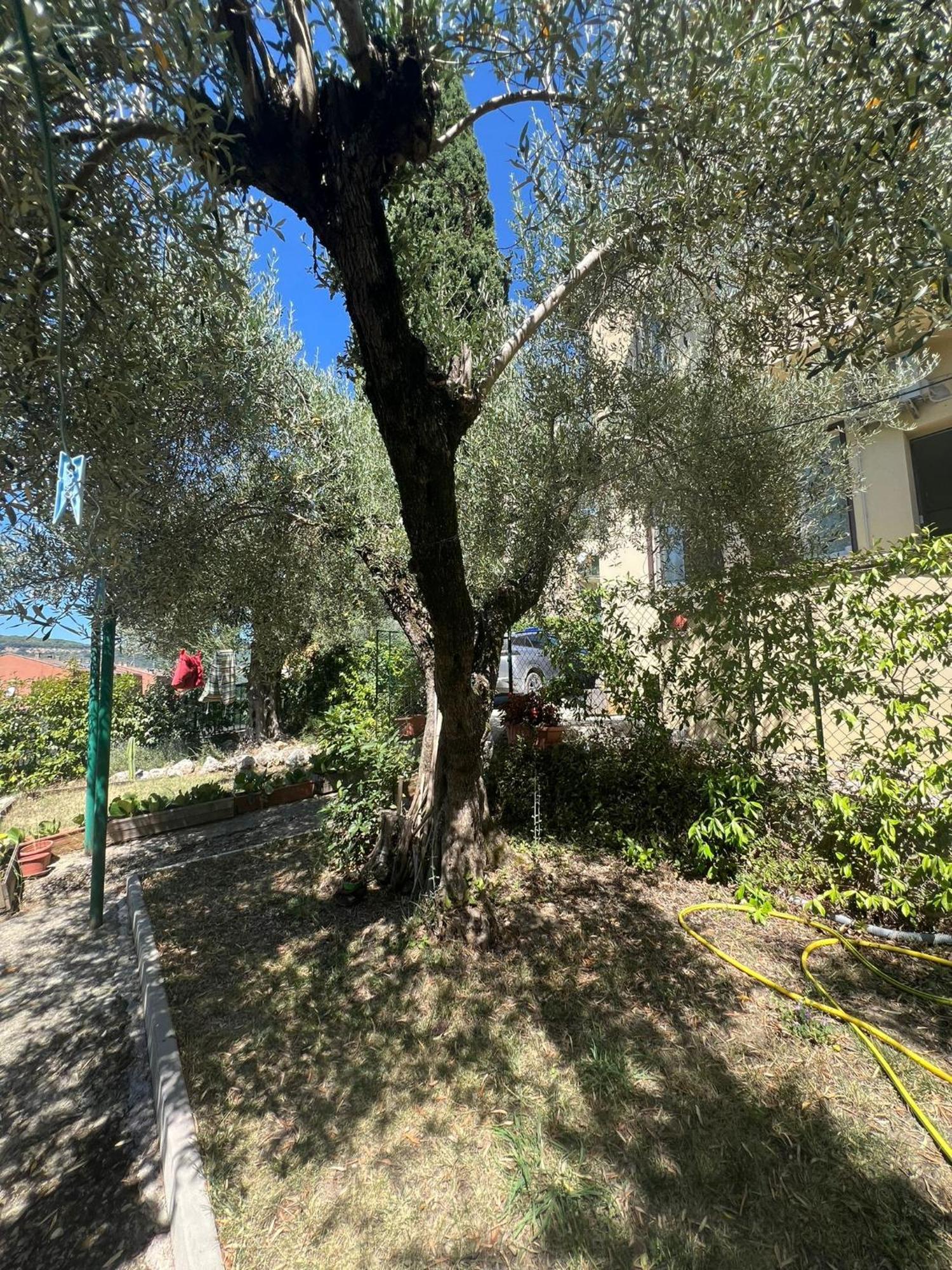 La Locanda Delle Idee Santa Lucia 佩鲁贾 外观 照片